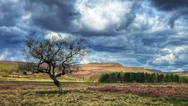 National Trust - Longshaw - Park in hathersage