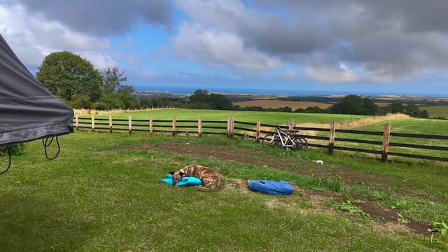 A dog resting on a blue mat in a grassy area with a wooden fence and rolling hills under a partly cloudy sky.