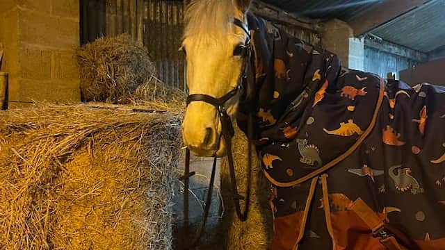 Equine Elite - Launderettes in great driffield