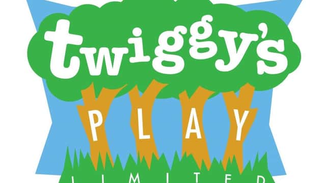 Twiggy's Play Ltd - Attraction in thirsk