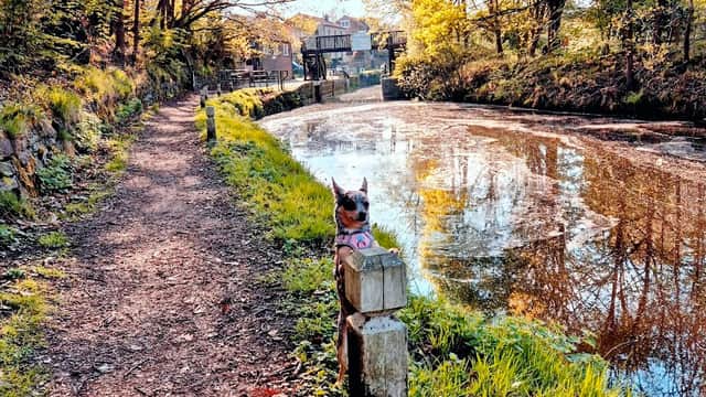 Kirklees Top Lock 14 - Historic Site in brighouse