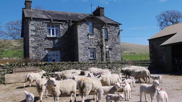 Accommodation at Ullathorns Farm in barbon