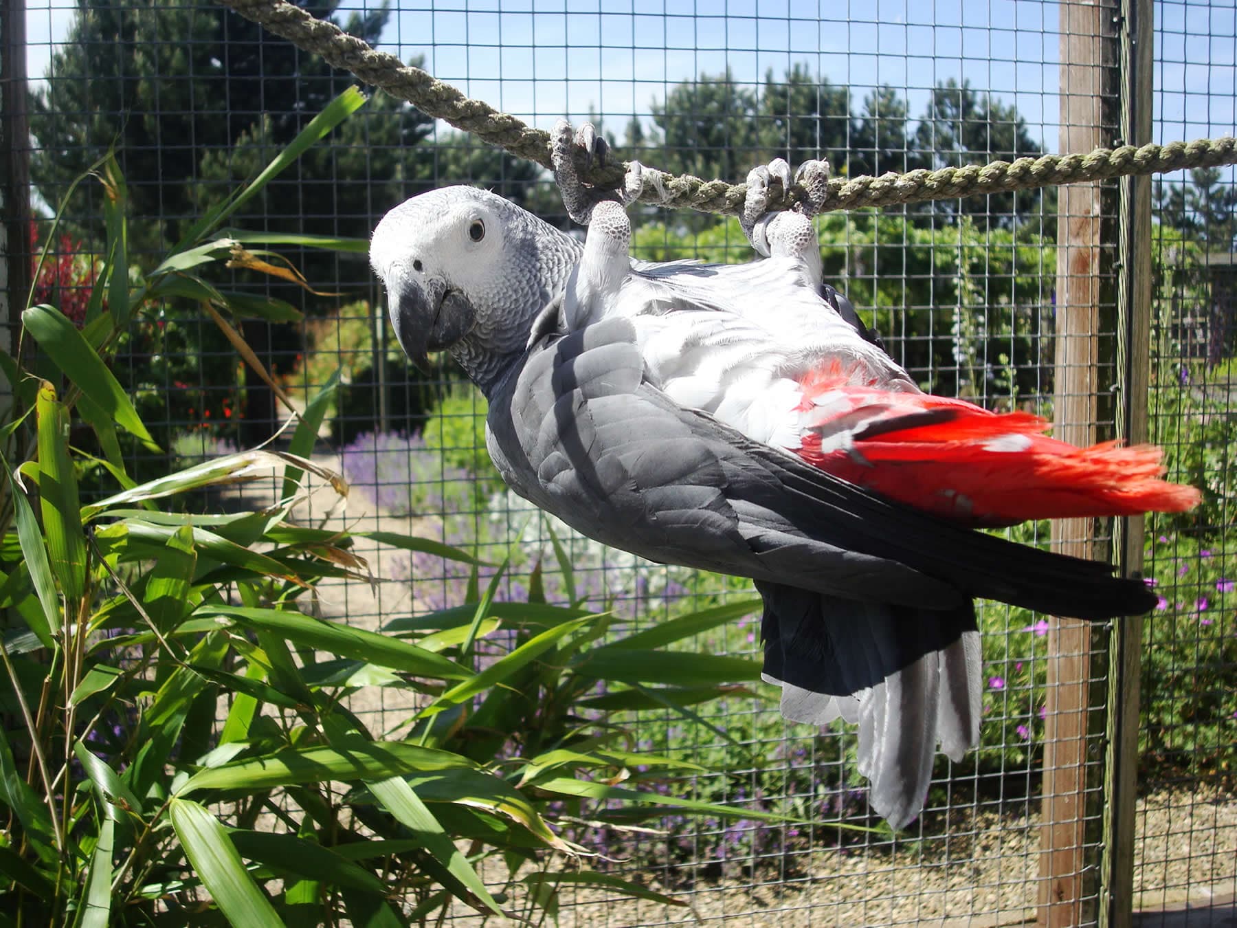 Visit Filey Bird Garden and Animal Park