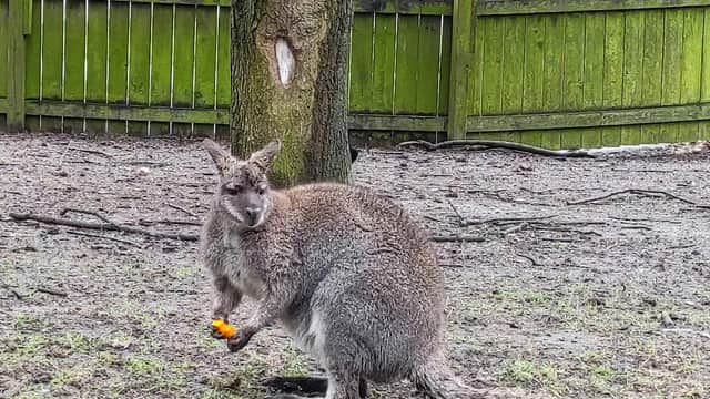 West Park Aviaries - Park in hull