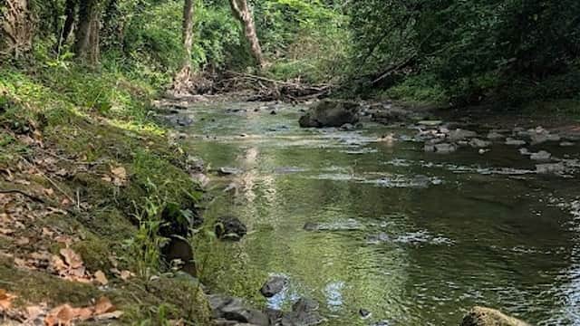 Norton Hammer Woodland - Park in nether edge