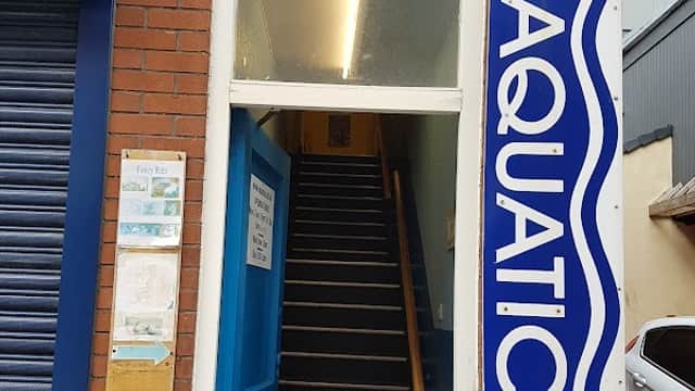 Aquatica Ltd - Pet Shops in wakefield