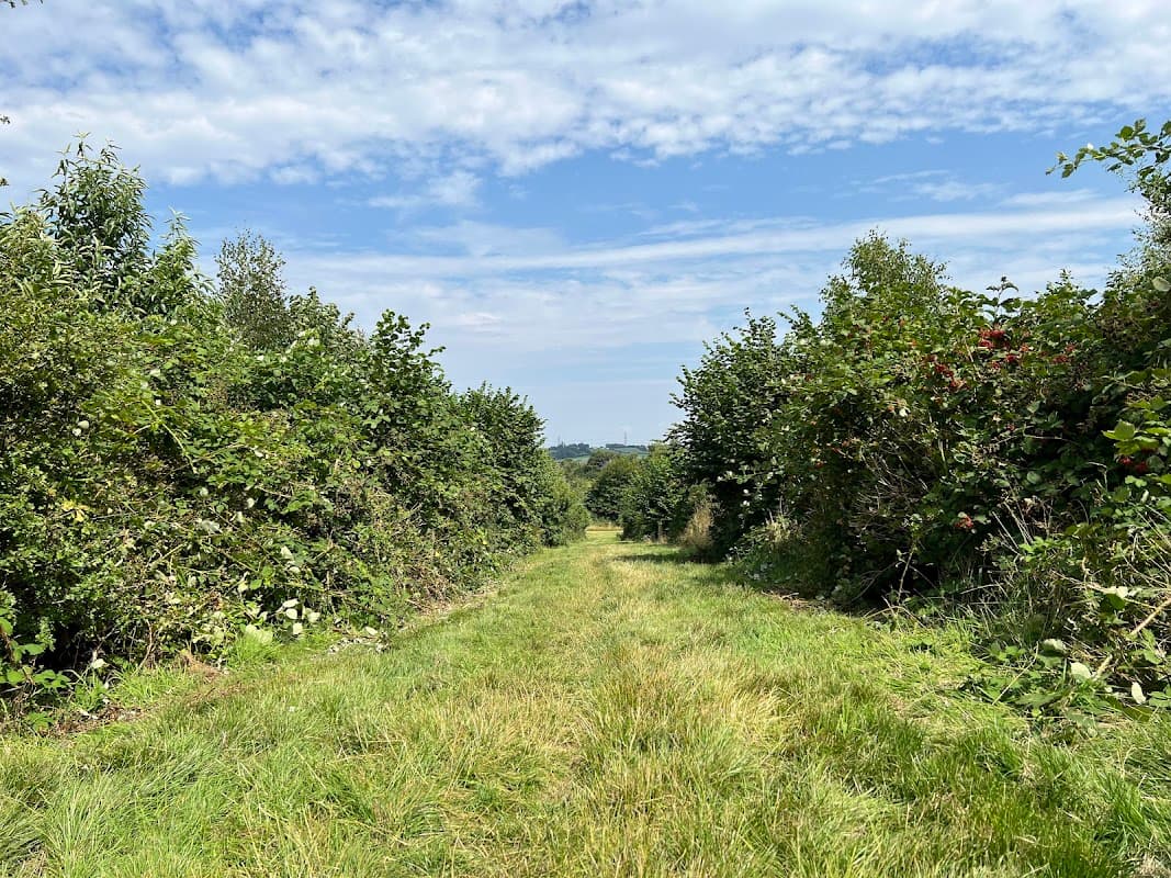 East Park Fields