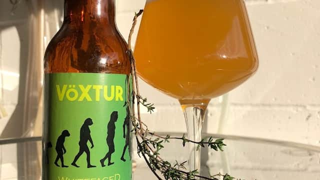 A bottle of Voxtur Whitefaced Saison next to a glass of golden beer and a sprig of thyme on a sunny surface.