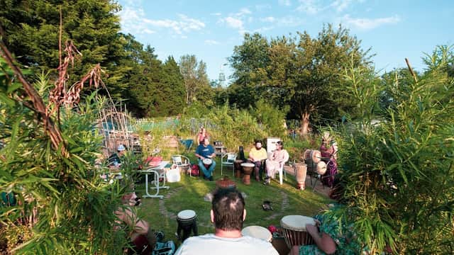 Group of people drumming in a lush garden, surrounded by greenery and trees under a clear blue sky.