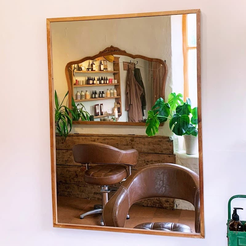 Plant Hair Studio