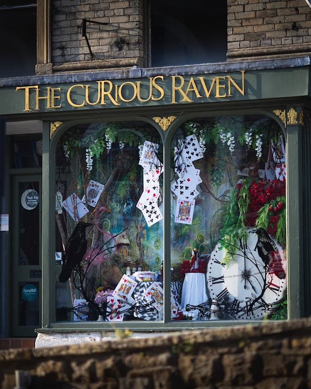 The Curious Raven