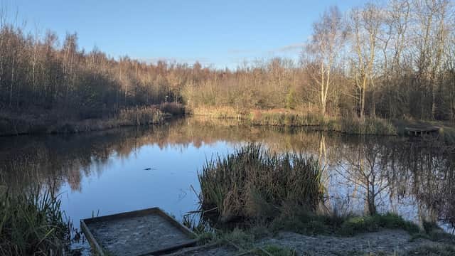 Lofthouse Colliery Nature Park - Park in wakefield