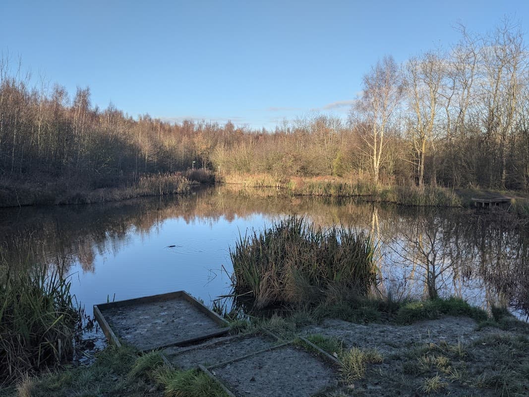 Lofthouse Colliery Nature Park