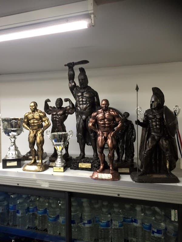 Better Bodies Gym