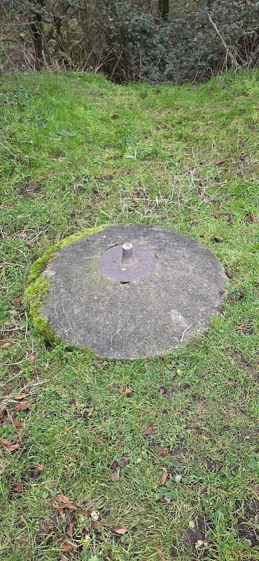 Spigot Mortar