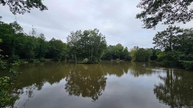 Serene lake surrounded by lush greenery and trees, reflecting the cloudy sky in Sessay, Yorkshire.