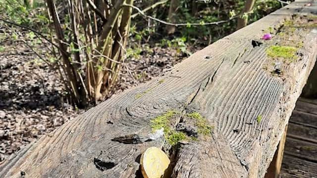 Colorful chocolate eggs nestled on a weathered wooden bench, surrounded by budding greenery in Leven Nature Park.