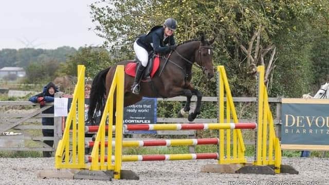 Hird and Partners - Sheffield Equine Clinic - Vets in canklow