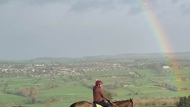 Middleham Racing Tours - Travel Agents in leyburn