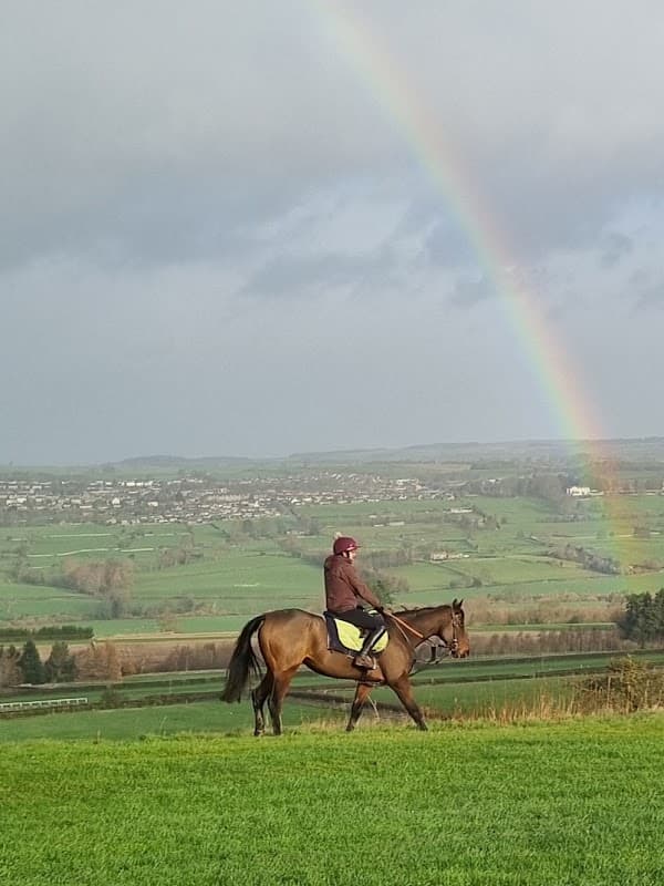 Middleham Racing Tours