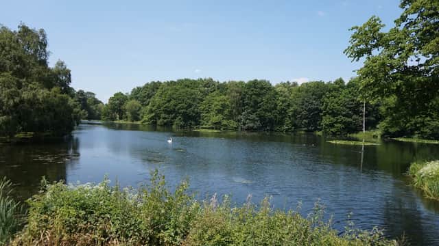 Serene lake surrounded by lush greenery and trees under a clear blue sky.