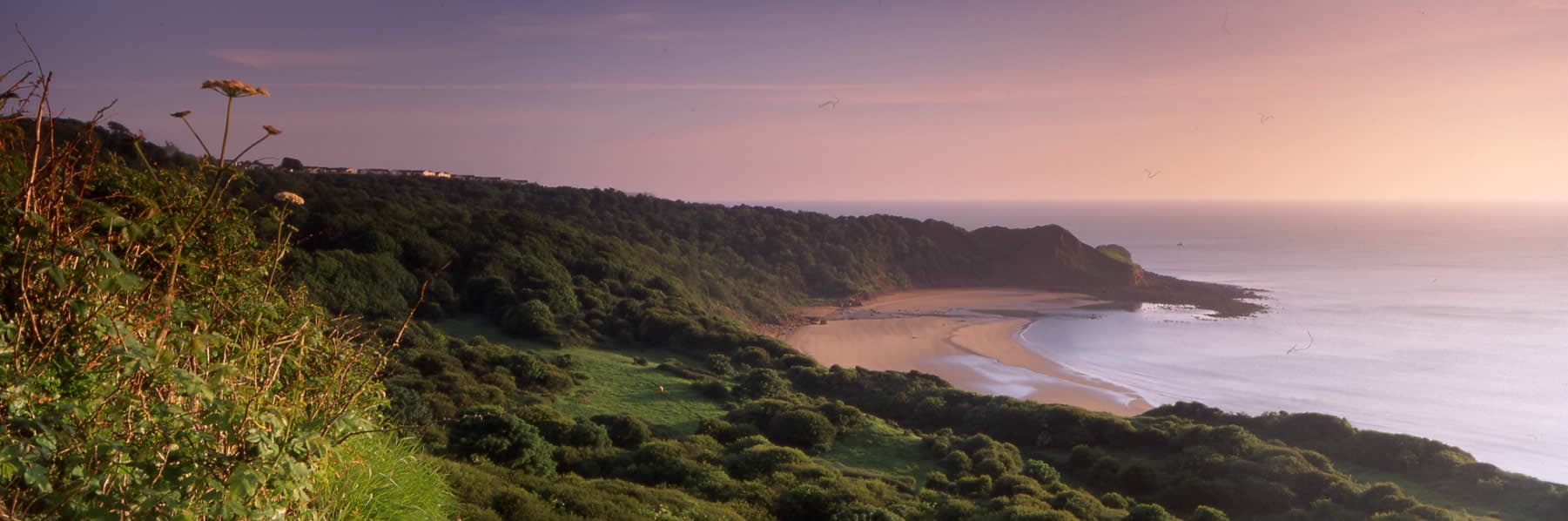 Cayton Bay Beach