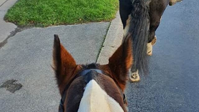Patrington Haven Leisure Park & Equestrian Centre