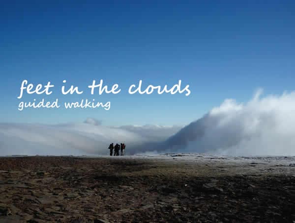 Feet in the Clouds
