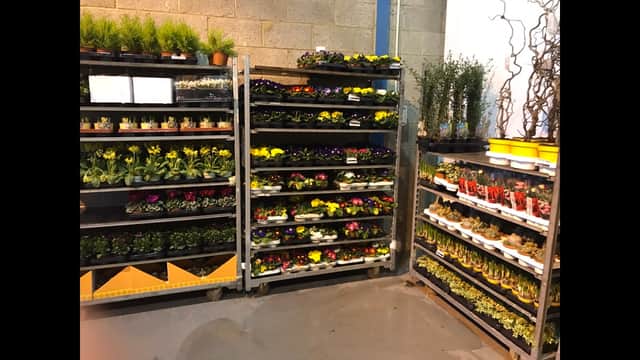 MSM Flowers - Florists in thornaby on tees