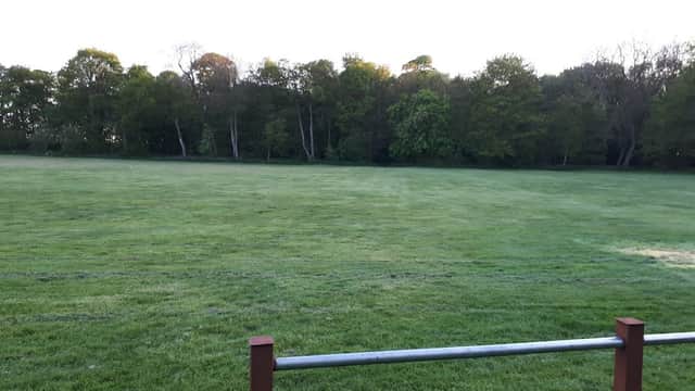Lush green field at Bailwood Scout Campsite, bordered by trees under a clear sky in Aldbrough, Yorkshire.