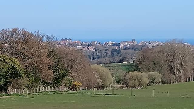 Monks farm caravan site - Campsite in low hawsker