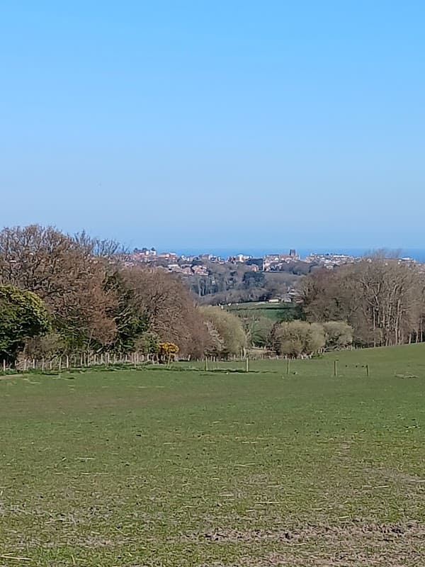 Monks farm caravan site
