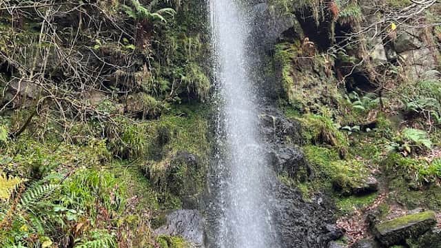Mallyan Spout Waterfall cascading down rocky terrain, surrounded by lush greenery and autumn foliage.