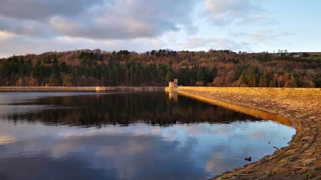 Morehall Reservoir Plantation - Walks & Hiking in bolsterstone ewden village