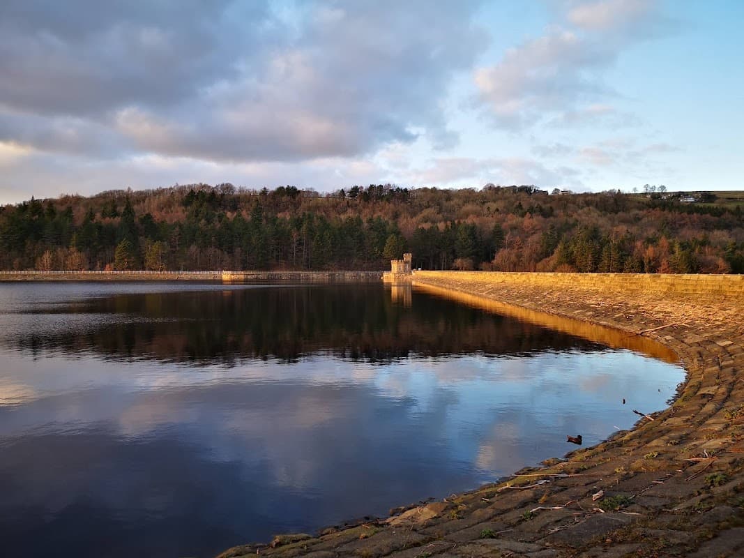 Morehall Reservoir Plantation