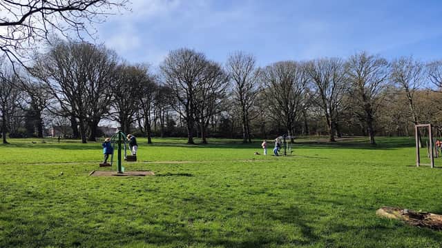 Lush green park with swings and people enjoying the outdoors under a clear blue sky and bare trees.