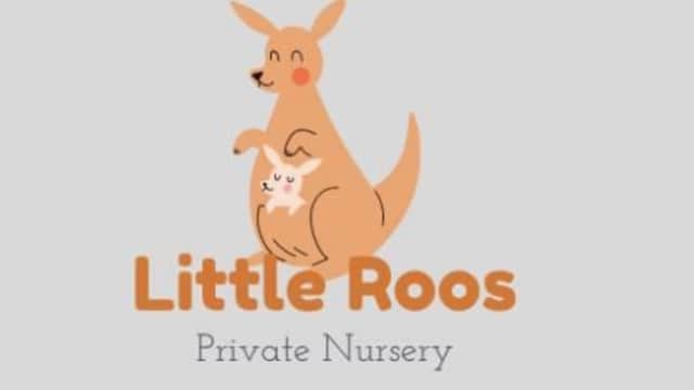 Little Roos Private Nursery LTD - Nurseries in barnsley