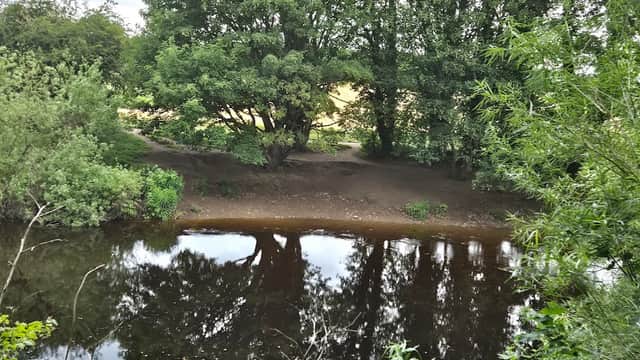 Gallows Hill Nature Reserve - Nature Reserves in otley