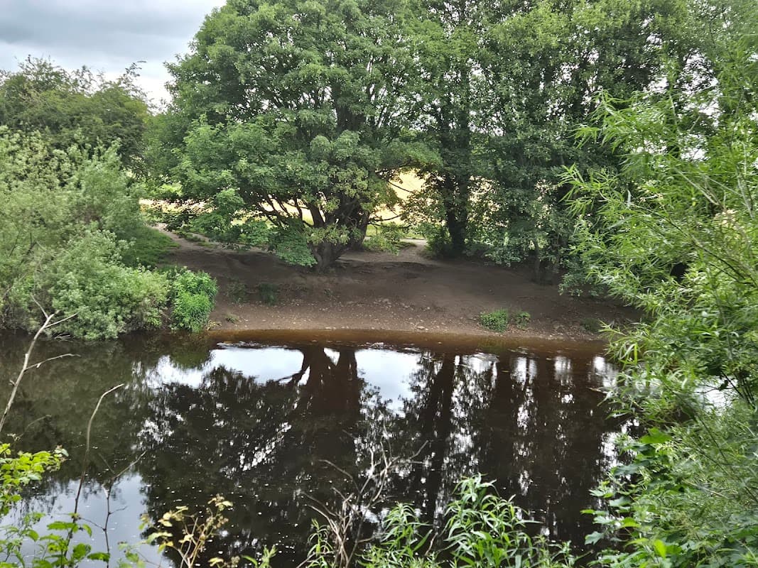 Gallows Hill Nature Reserve