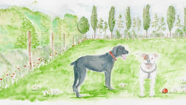 Two dogs stand in a grassy field surrounded by trees and a fence, with flowers scattered throughout the landscape.