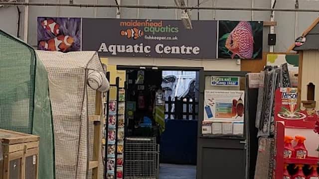 Entrance to Maidenhead Aquatics York, featuring shelves of pet supplies and a sign for the Aquatic Centre.