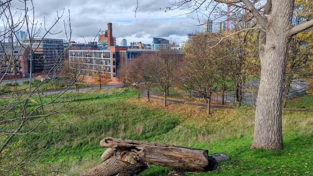 The Old Park - Park in knowsthorpe