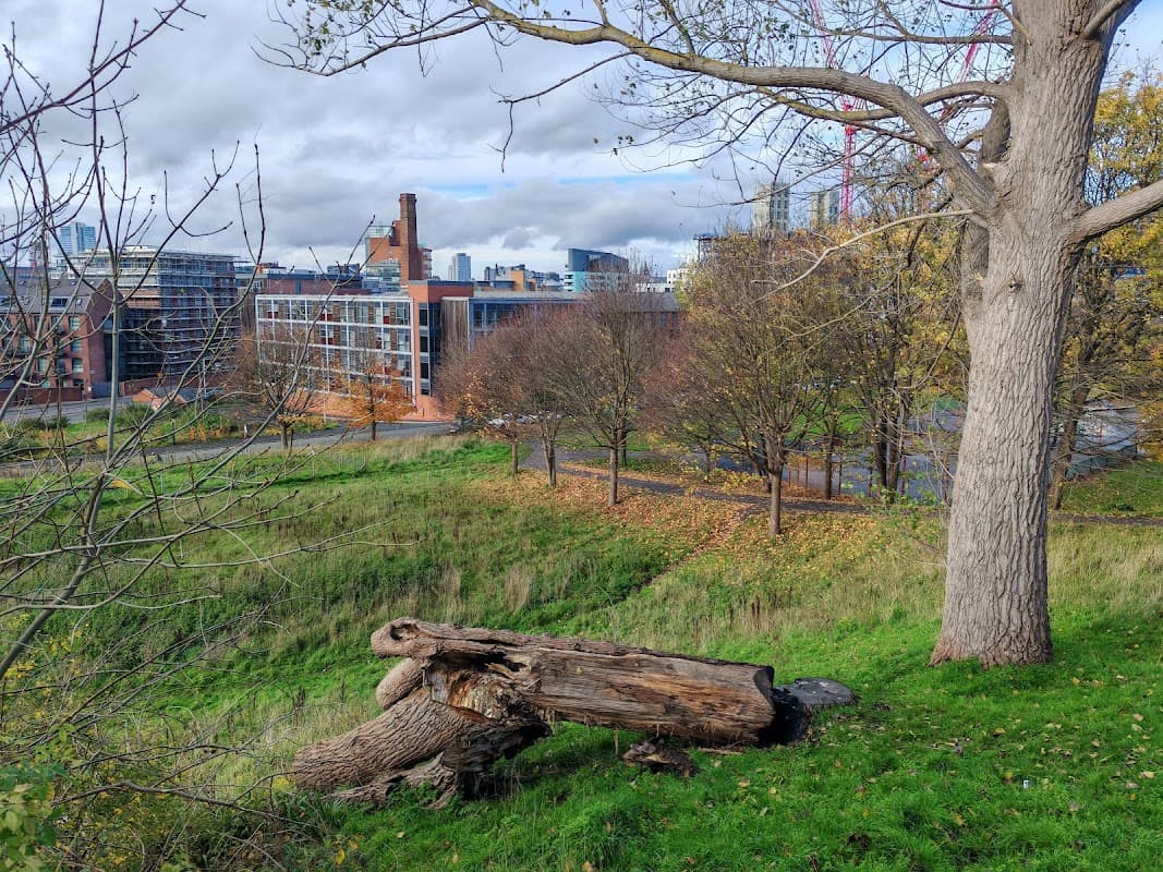 The Old Park