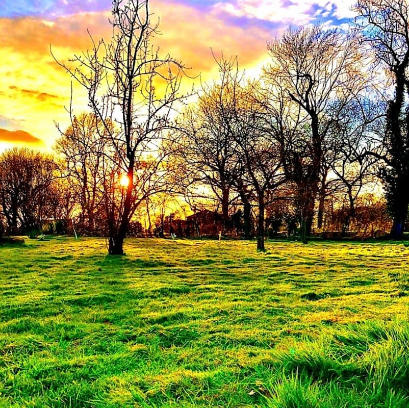 Brigham Park Farm Holidays