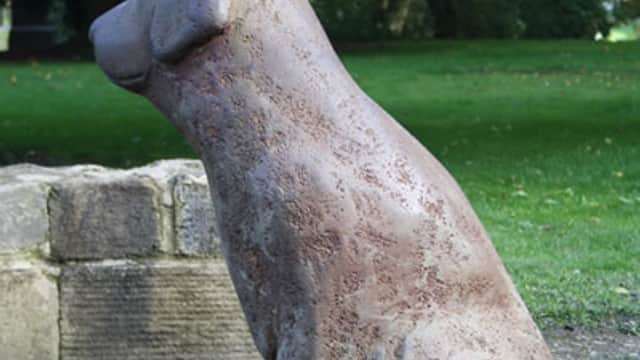 Lucky Dog of Todmorden - Garden in todmorden
