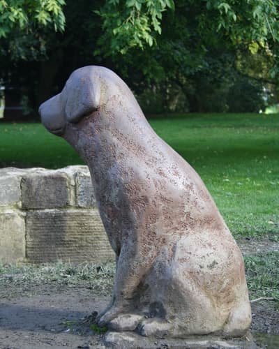 Lucky Dog of Todmorden