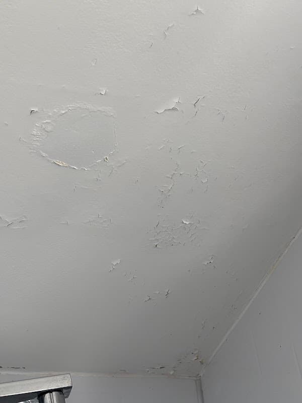 D Ellis Decorating Services Ltd