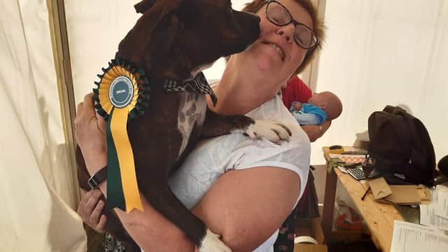 Donaldson's Vets - Vets in penistone