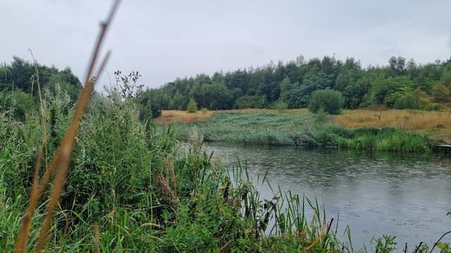 Lush greenery surrounds a tranquil river under a cloudy sky at Fitzwilliam Country Park in Yorkshire.