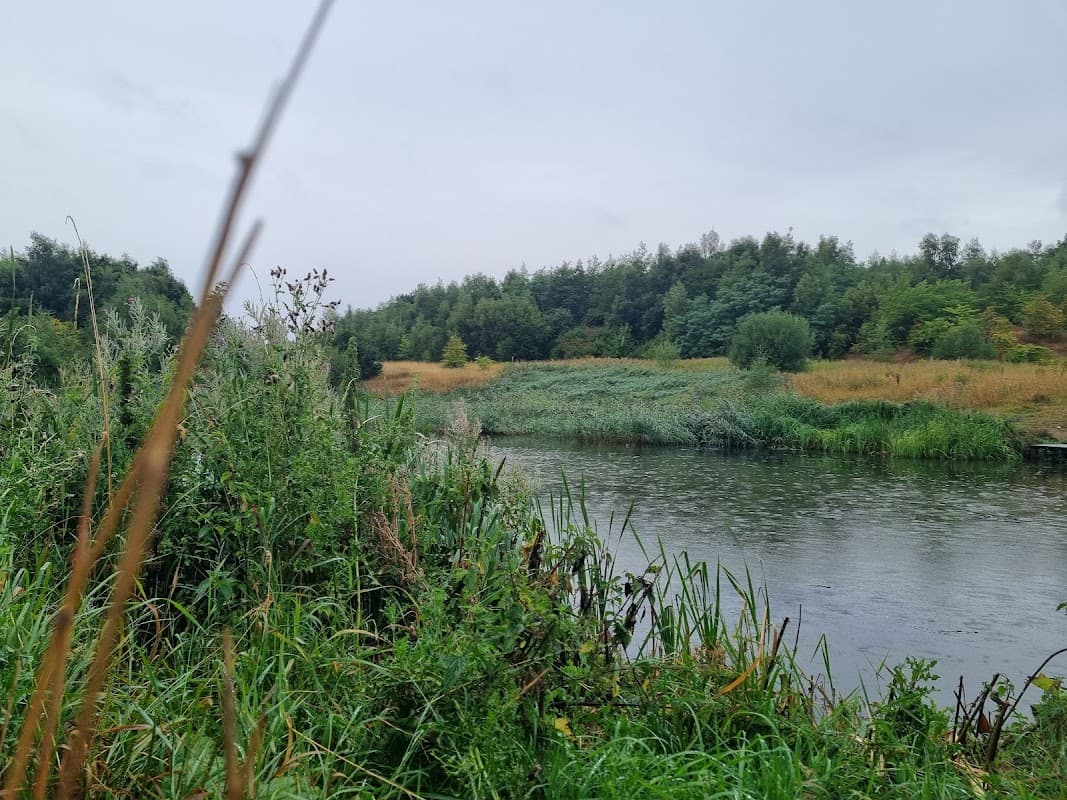 Lush greenery surrounds a tranquil river under a cloudy sky at Fitzwilliam Country Park in Yorkshire.